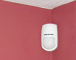 Sensor